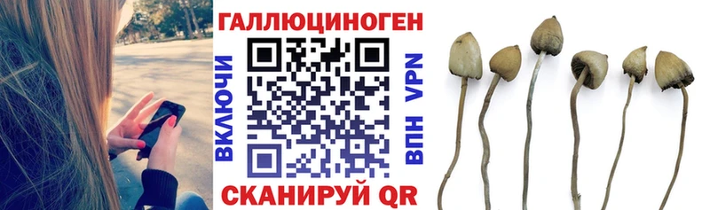 Псилоцибиновые грибы прущие грибы  купить закладку  Абинск 