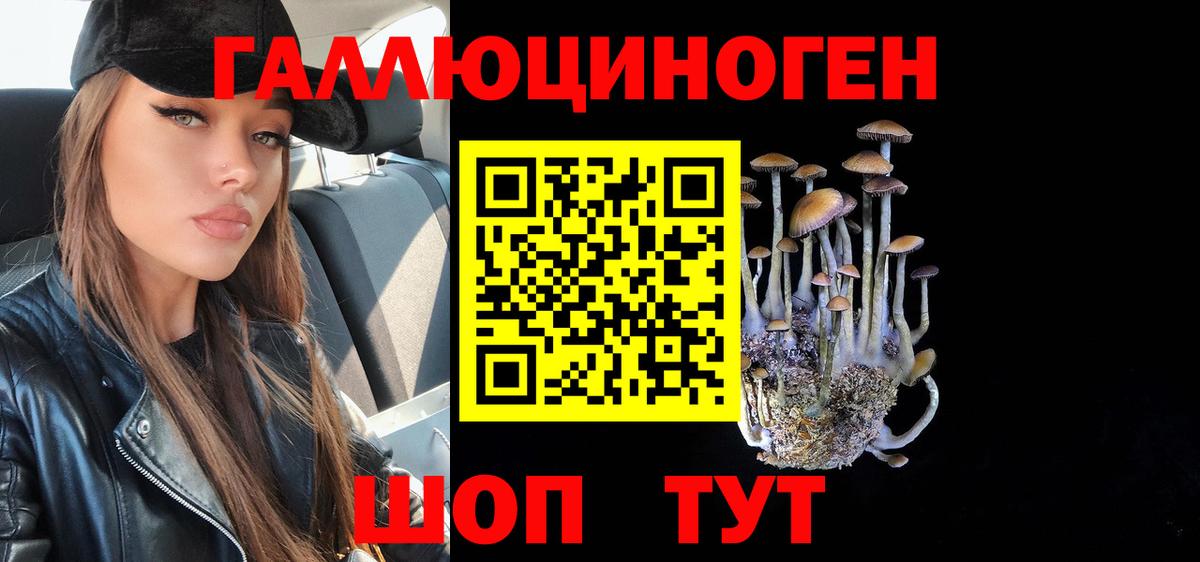 Псилоцибиновые грибы прущие грибы Абинск