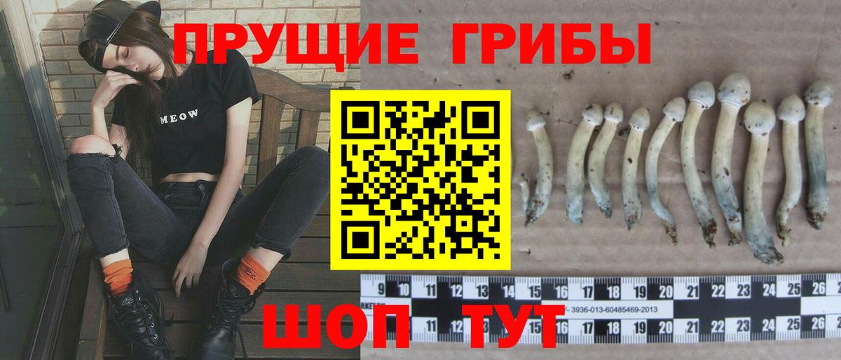 Галлюциногенные грибы прущие грибы  Абинск 