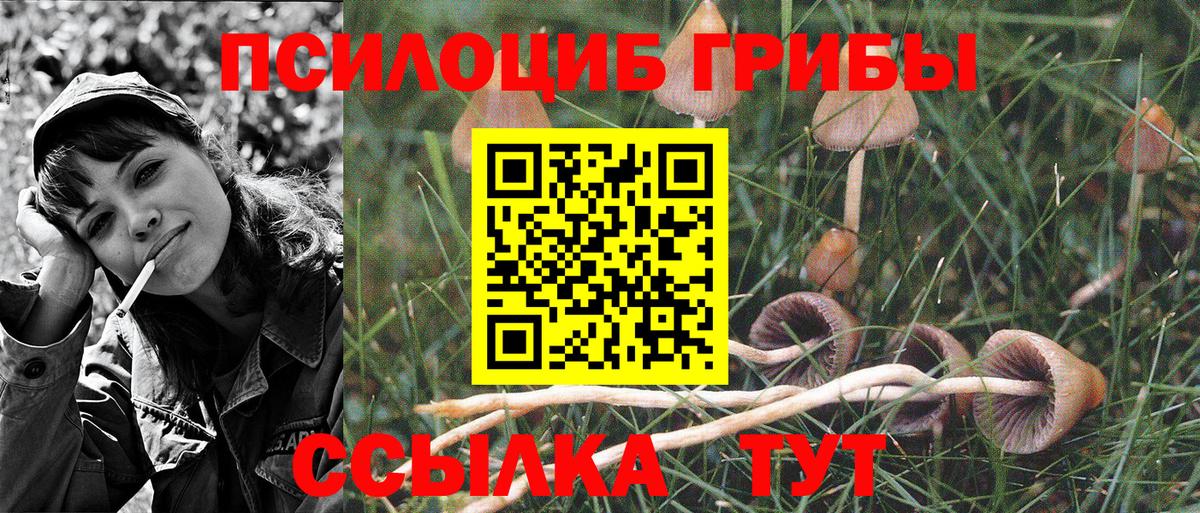Псилоцибиновые грибы прущие грибы Абинск