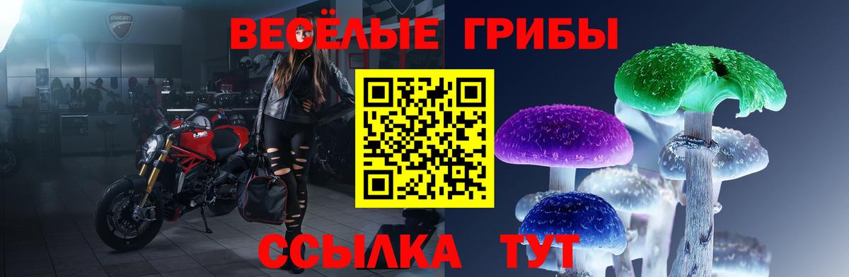 Галлюциногенные грибы прущие грибы  Вход с VPN  Абинск  Галлюциногенные грибы мухоморы 
