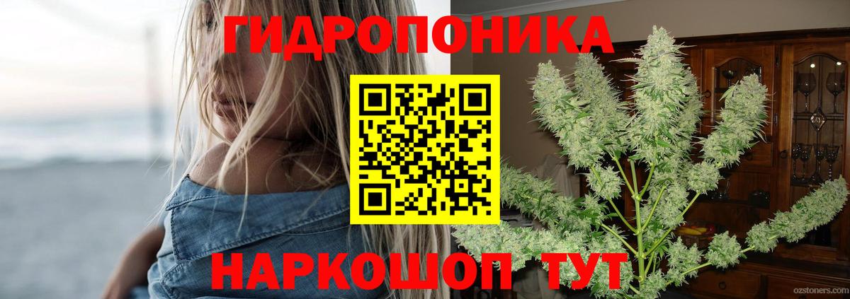 Шишки марихуана OG Kush  Бошки Шишки MAZAR  Вход с VPN  Абинск  Бошки марихуана семена  Бошки Шишки SATIVA & INDICA 
